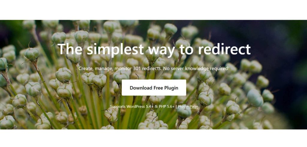 redirection wp plugin